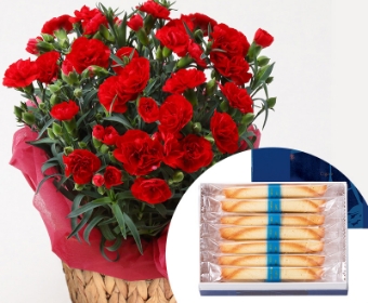 お花とのセットギフト