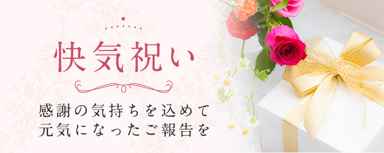 快気祝い Fujisaki Online 10 13ページ 快気祝い Fujisaki Online 10 13ページ