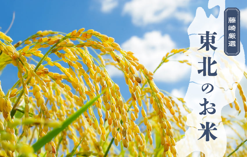 藤崎厳選 東北のお米