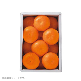ハウスみかん