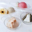 東松島みやぎを丸ごと愛す