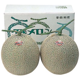 夕張メロン