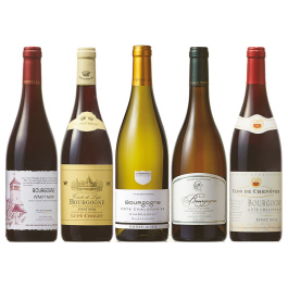 ブルゴーニュワイン飲み比べ5本セット