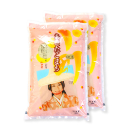 あきたこまち 5kg×2