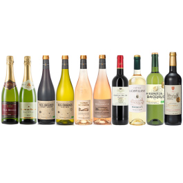 フランスワイン赤白ロゼ泡10本セット