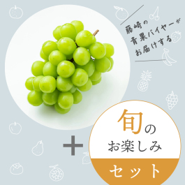 旬のフルーツおまかせセット 秋セット