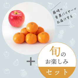 旬のフルーツおまかせセット 冬セット