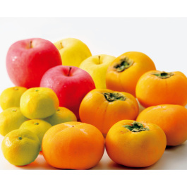 FRUiTS 2010年1月〜11月のセット 予約商品】旬のフルーツセット A20 旬のフルーツ詰め合わせ