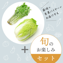 旬の野菜おまかせセット