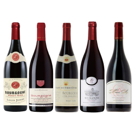 ブルゴーニュ赤ワイン5本セット