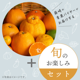 旬のフルーツおまかせ 柑橘セット