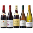 ブルゴーニュワイン飲み比べ5本セット