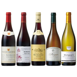 ブルゴーニュワイン飲み比べ5本セット