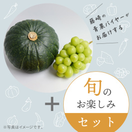 旬の贅沢満喫セット ～一球入魂かぼちゃ・シャインマスカットとバイヤーおまかせ 9月の旬のお品～