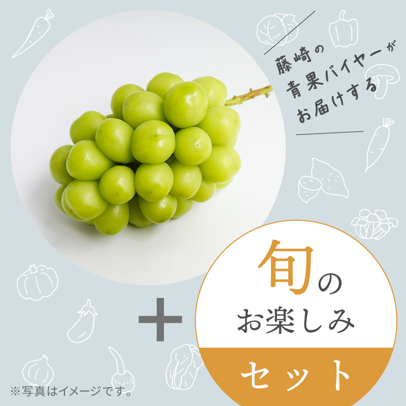 芳醇シャインマスカットとバイヤーおまかせ 9月の旬のお品