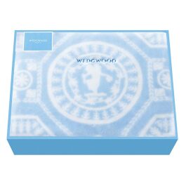 アクリルニューマイヤー毛布(毛羽部分)