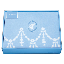 綿毛布(毛羽部分)