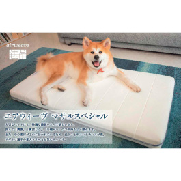マサルスペシャル Mサイズ