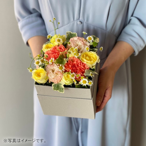 【2025母の日限定】ママBOXМ～シトリン