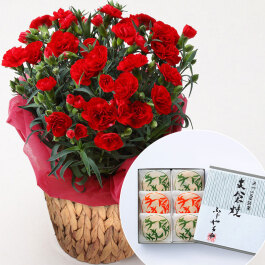 カーネーション(赤)＆「ふじや千舟」支倉焼6個入