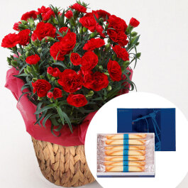 カーネーション(赤)＆「ヨックモック」シガール14本入