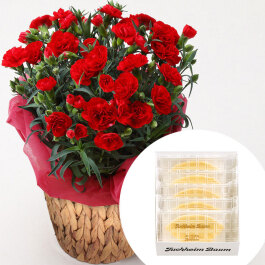 カーネーション(赤)＆「ユーハイム」ユーハイムバウム