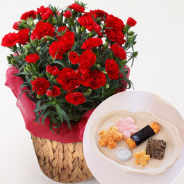 カーネーション(赤)＆「銀座あけぼの」それぞれ6袋入